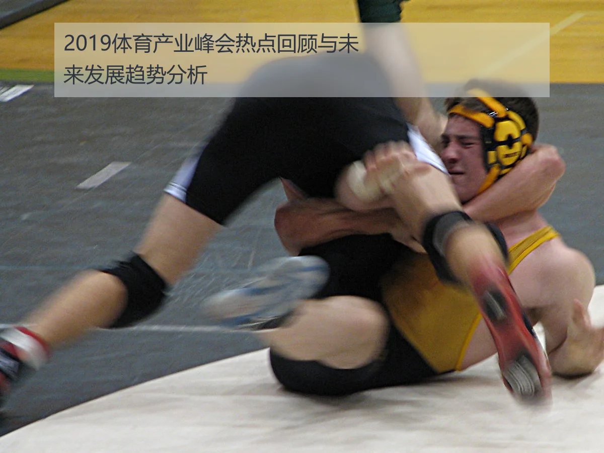 2019体育产业峰会热点回顾与未来发展趋势分析